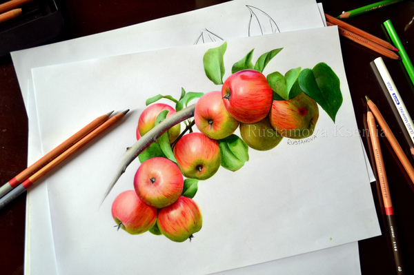 My drawing Apple tree - My, Drawing, Pencil drawing, Botany, Botanical illustration, Photorealism, Realism, Interesting