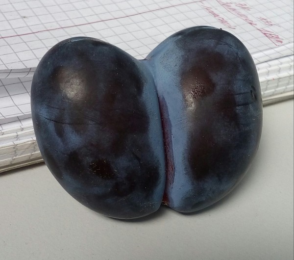 �����-������?