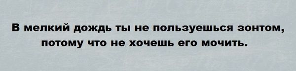 О поведении