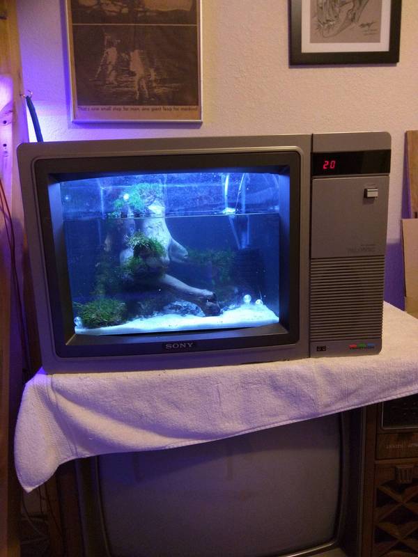 Reincarnation of Grandma's Old TV - Handmade, Aquarium, With your own hands, Old things, Needlemen, Needlework