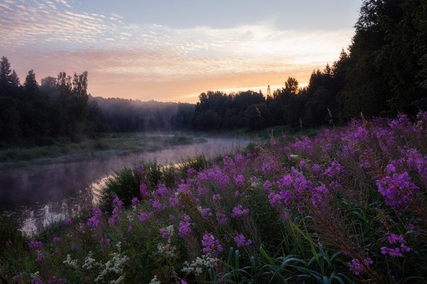 Ukhra river - , River, Yaroslavskaya oblast, Russia, Photo, The photo, Nature, Go, Longpost