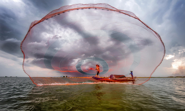 Catch, big fish! - Vietnam, Fisherman, Fishing, Net, Cast, Fishermen