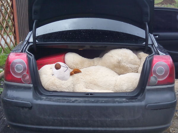 �� �������� ��� ����� �������� �������� �����?