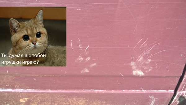 �� ����� � � ����� ������� �����?