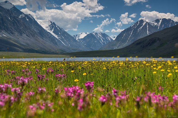 Akkol river valley - Altai, Russia, Summer, The nature of Russia, Gotta go, Photo, The photo, Nature, Longpost, Altai Republic