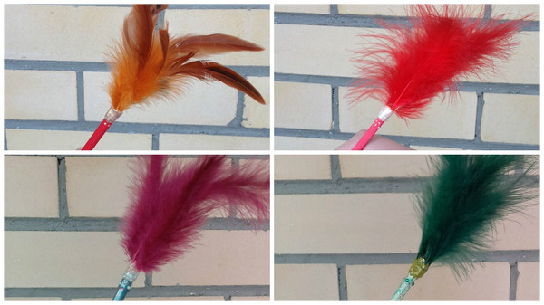 Feathers-Sparrows or the story of my motivation - My, Pencil, Feather, Handmade, With your own hands, Britney Spears, Startup, , Needlework