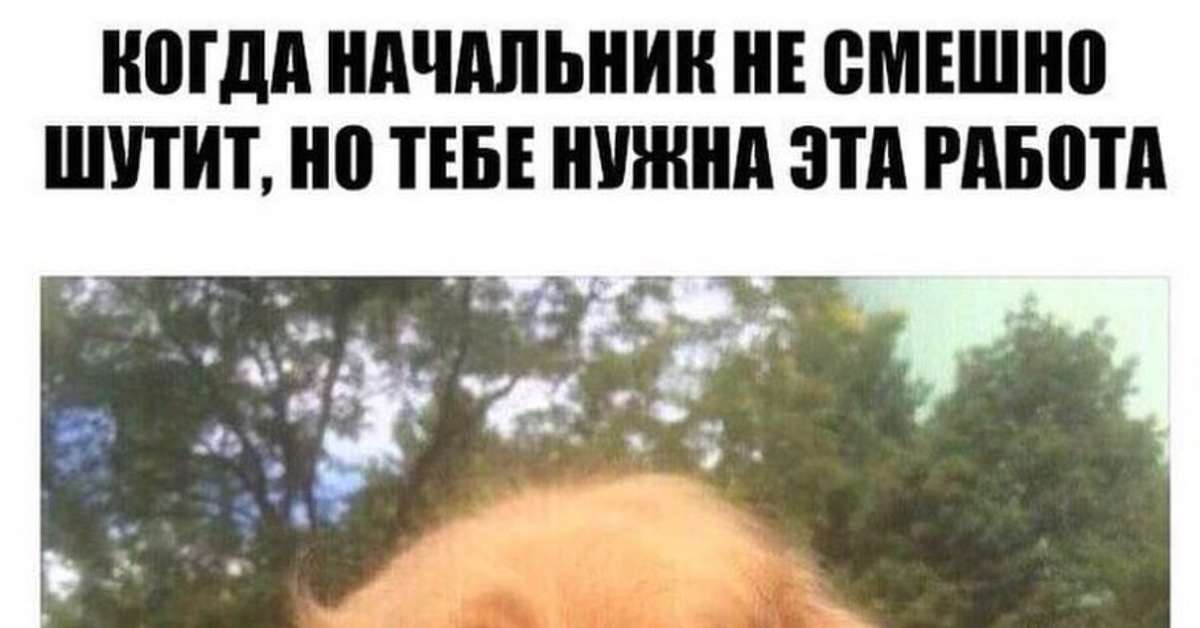 Несмешно или не смешно