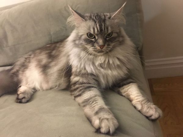 Странный взгляд)