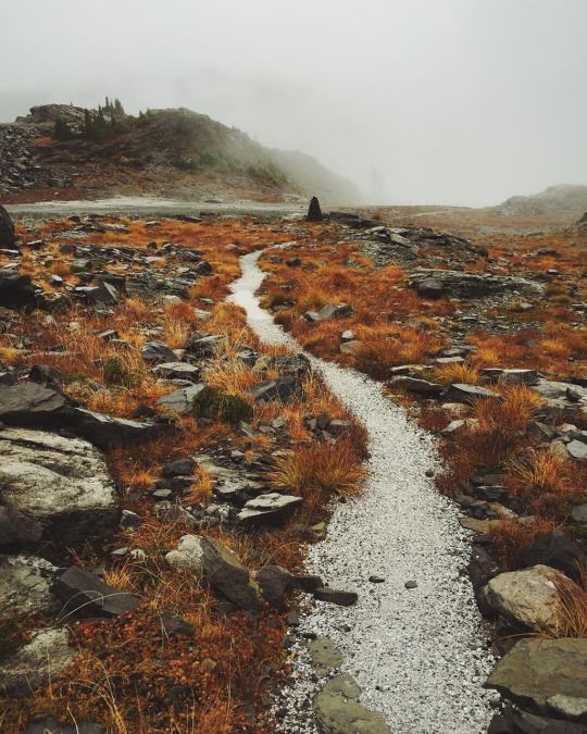 autumn trail - Path, Autumn