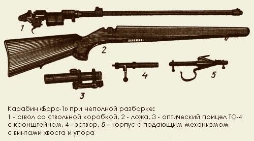 Carbine Bars-1 (Russia) - Weapon, Weapon, Carbine, Leopard, Hunting