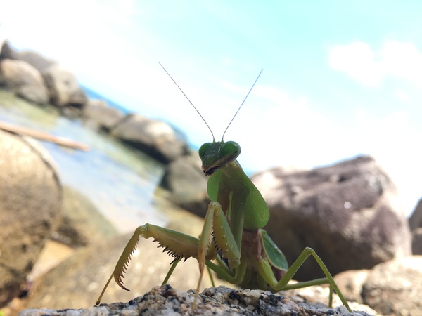   : , , , 