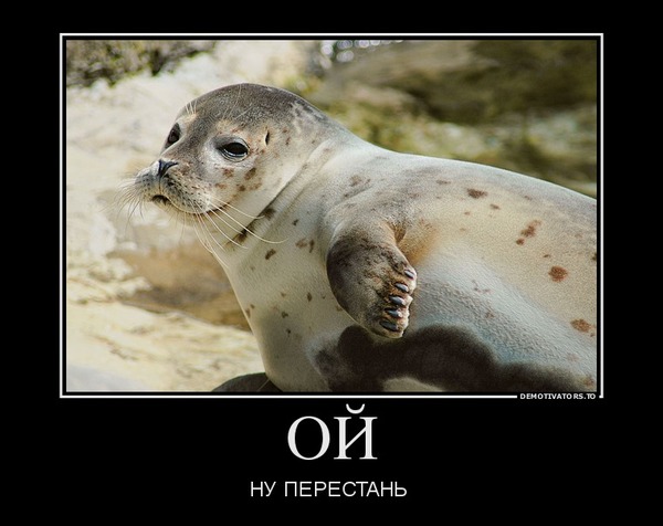 Hey, stop it - Demotivator, Shyness, My, Seal, With your own hands