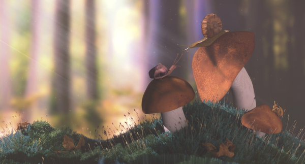 A bit late. Morning in the forest. - Mushrooms, Moss, Blender, Computer graphics, 3D, My, Forest