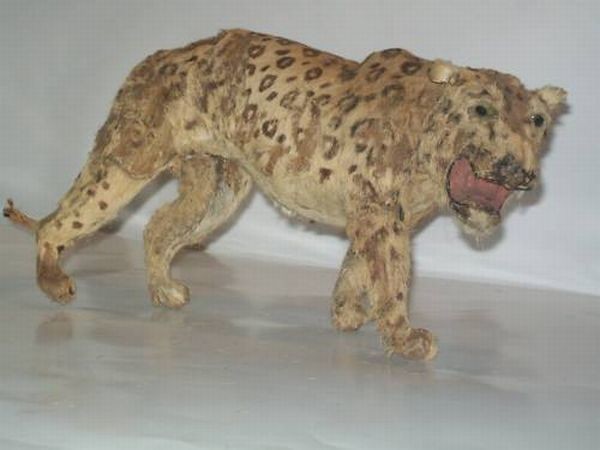 Failed work of taxidermists - Taxidermy, Work, Scarecrow, Longpost