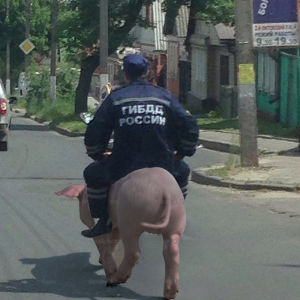 Traffic police - Pig, Traffic police