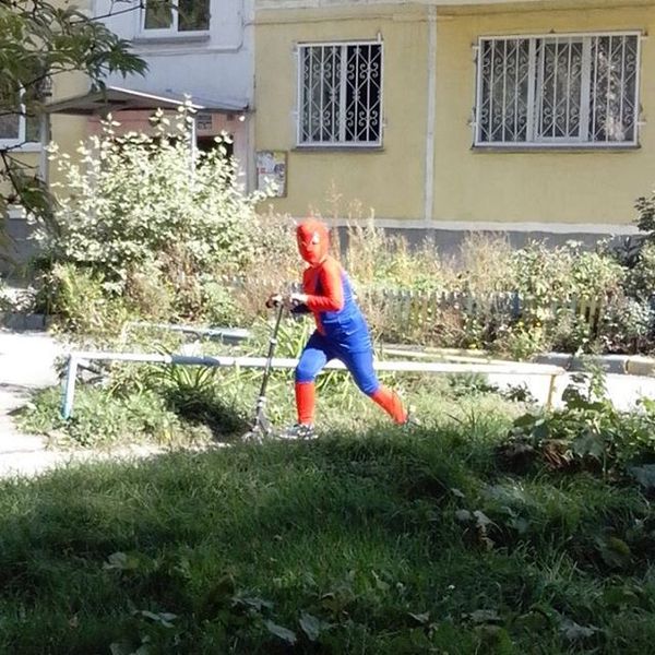 Паук уже не тот...