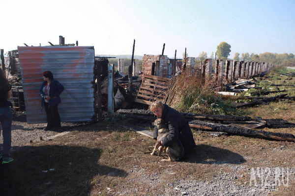 Animal shelter burnt down - Trouble, Text, Shelter, Animals, Kemerovo, Help, Fire