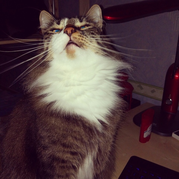 ����� ���� ������ �������� ���� � ���������� ��������