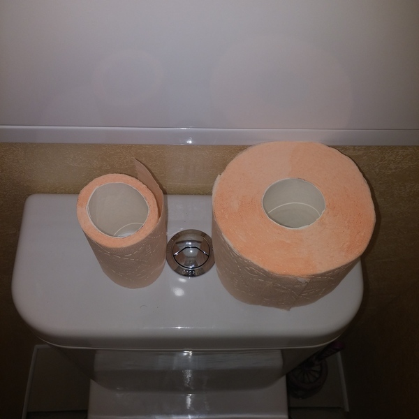 Another optical illusion - My, Toilet paper, Not cheating, Optical illusions, 