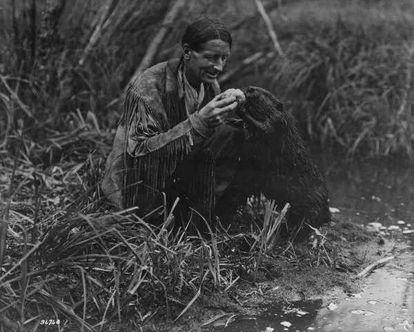 Beaver pampering with a sweet roll. - Rare photos, Animals, Story, Nature, USA, Photo, Indians, Beavers