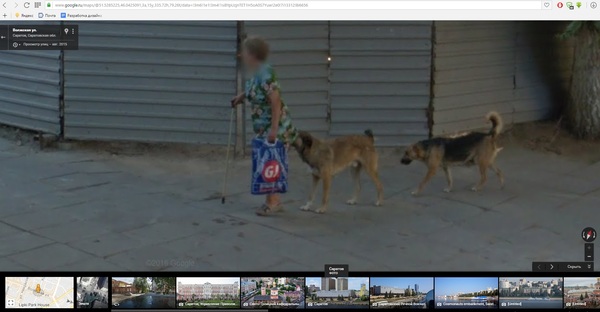 Google.maps never ceases to amaze :) - My, Google maps, Dog, Grandmother