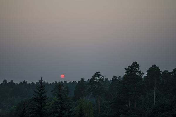 You need to live on the right floor) Sunset, red sun. Moscow region - My, Sunset, Photographer, The photo, , Forest, Interesting