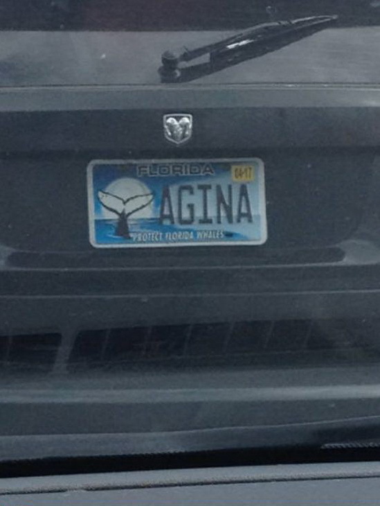 Защитим флоридских китов