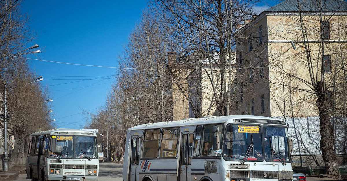 Автобус 54н оренбург. Автобус Сыктывкар. Общественный транспорт Сыктывкар. Автобус пазик Сыктывкар. Пазик ГАЗ Сыктывкар новый.