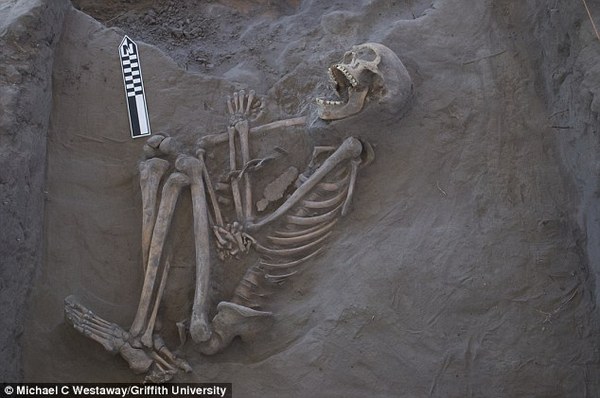 � ��������� ���������� ���������� 800-������ ������