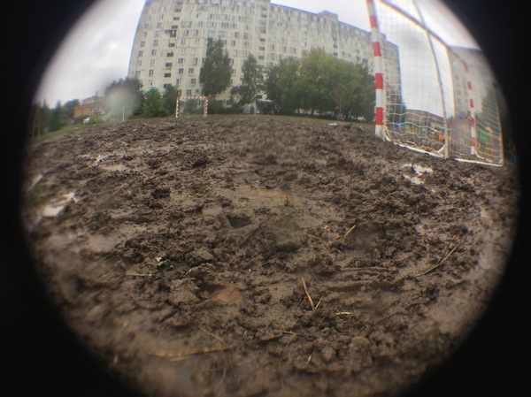 After the elections ... they tried to make a football field in our yard. - My, Football, Elections, New life