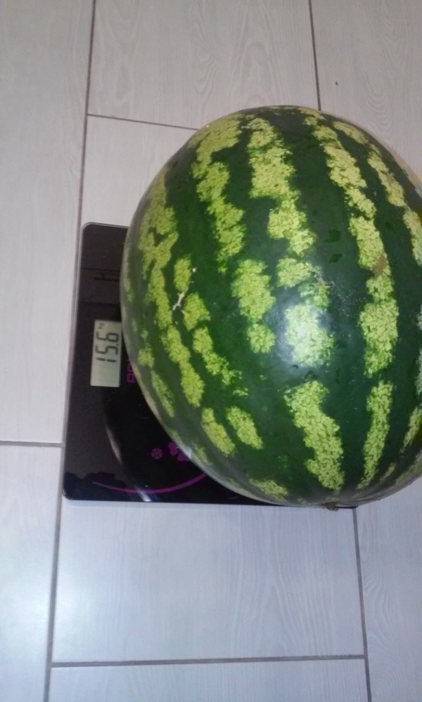 ��� ��� �������� ��������� ����