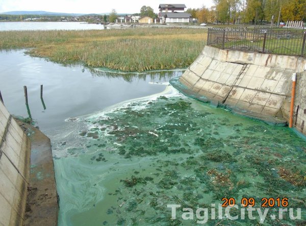 Засрали город - Нижний Тагил, Засрали, Грязь, Мусор, Длиннопост