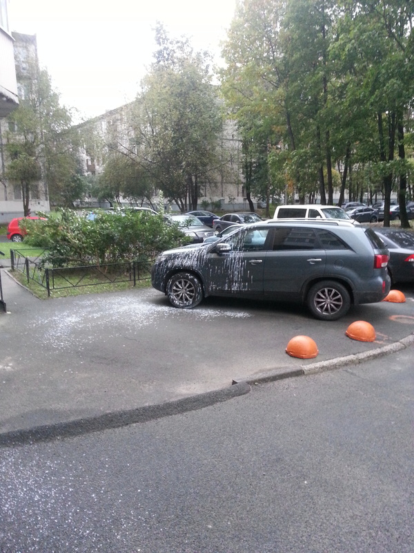 �������� �� ��������