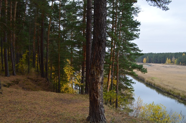 Quiet whisper of the Altai autumn... - My, My, Siberia, Altai, Pavlovsk, Autumn, , Longpost, Altai Republic