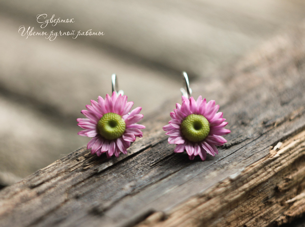 In pursuit of daisies - my daisies ) Earrings from cold porcelain - My, Polymer clay, Cold porcelain, Лепка, Earrings, Creation, Handmade, Flowers, Daisy