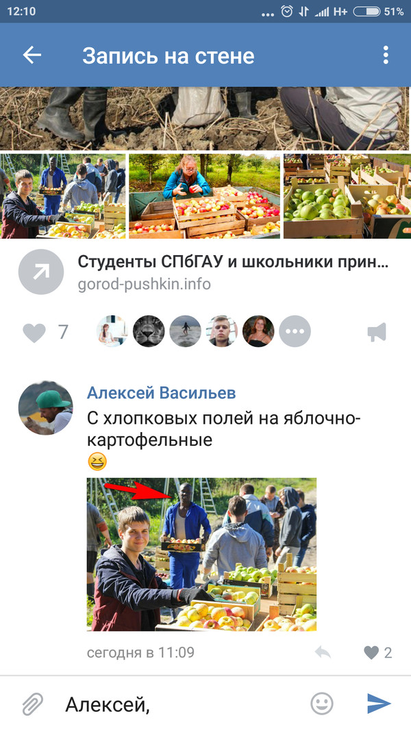 SPbGAU students harvest and every year they are helped by visitors from Africa - My, Saint Petersburg, University, Students, Joke, Harvest, Humor, Comments