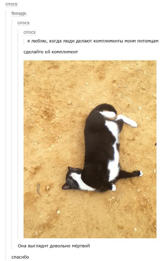 Комплимент