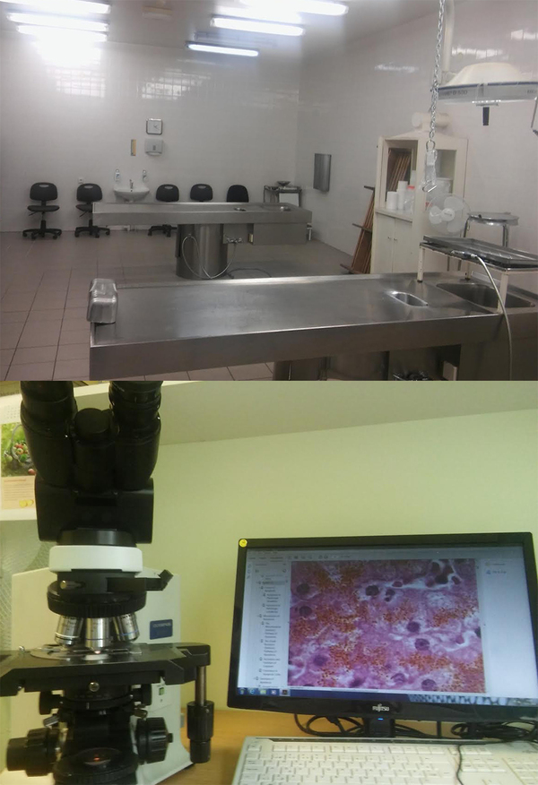 A bit belated, to talk about professions) go without tags to guess where I work - My, Profession, Doctors, Pathology, Laboratory