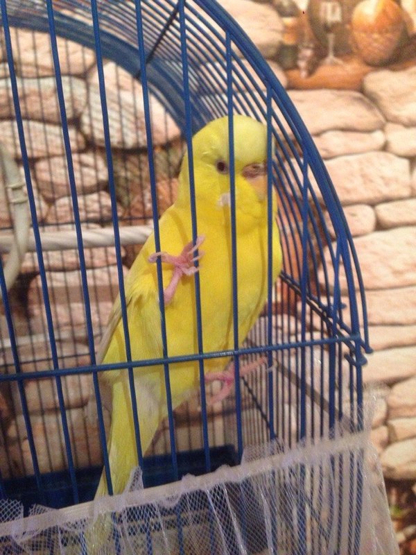 ��� �� ��� � ����� ������....