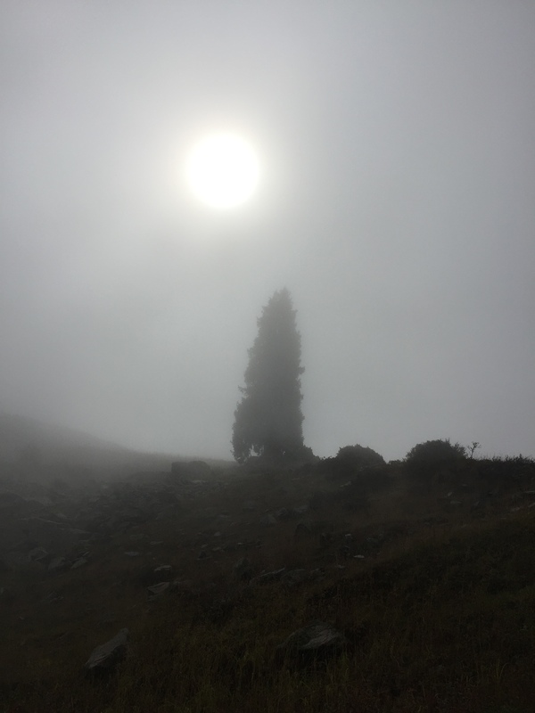 Somewhere in the mountains of Almaty - My, Hike, Fog