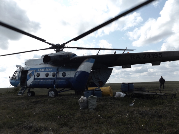 Taimyr in summer - My, Taimyr, Geophysics, Longpost