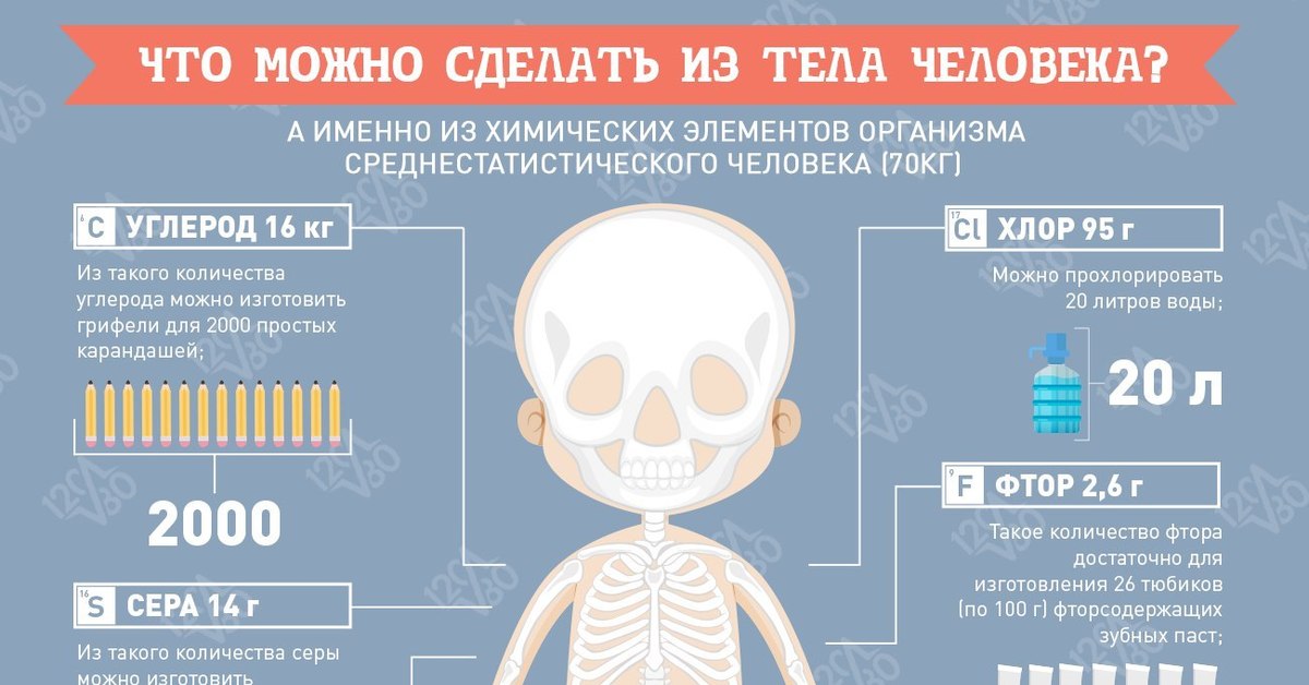 Цифры в организме человека