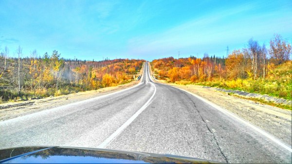 Autumn - Autumn, Road, Forest, Swamp, Nature, Usinsk, Komi
