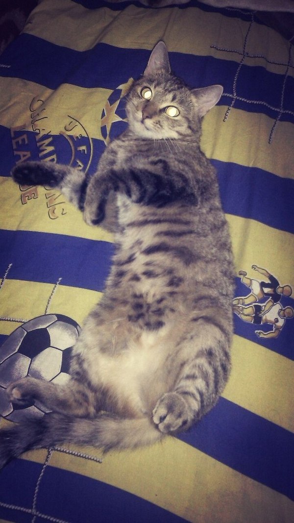 ���-�� �� ������ ����������... ��� �����?