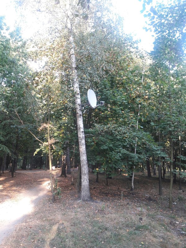 Satellite TV in the forest - Satellite TV, Technologies, Humor, Russians