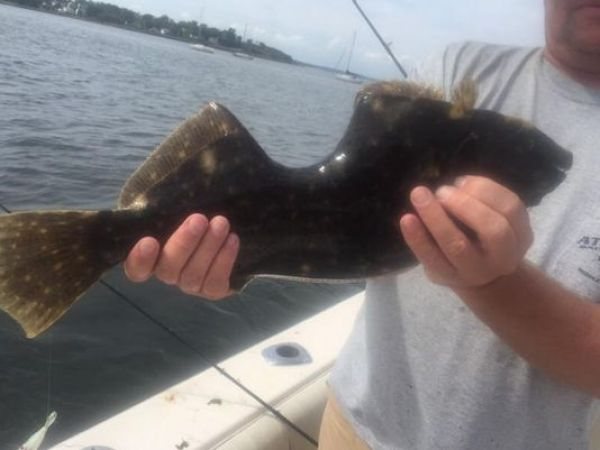 In New Jersey, they caught a fish from which someone bit off a piece. - Photo, A fish, Fishing, Interesting