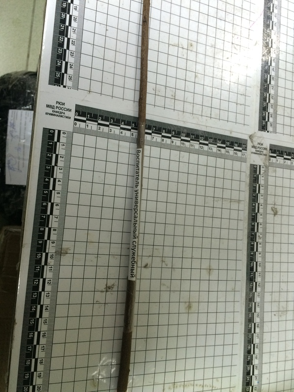 Жизнь экспертная