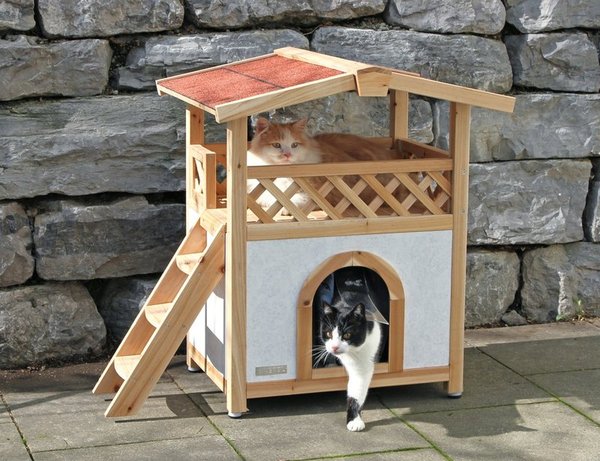 Yards in St. Petersburg will be equipped with houses for cats - cat house, Kindness, Saint Petersburg, Help, House, cat