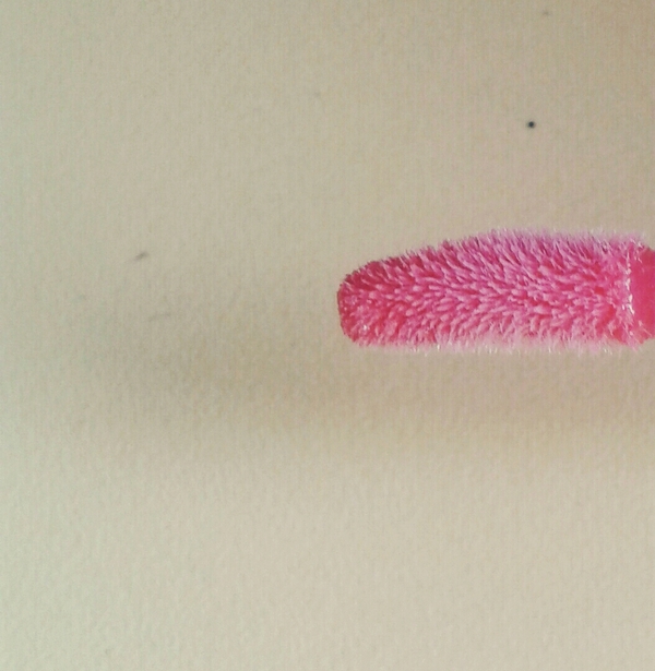 ������� ���� ��� ������������