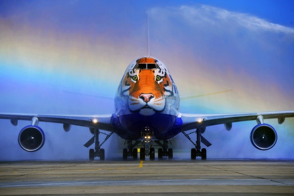 Here you will encounter such a miracle in the clouds ... - Airplane, Tiger, cat